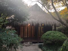 -中国茶叶博物馆(双峰馆区)