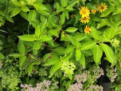 -云峰山自然风景区