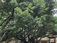 -西禅古寺售票处