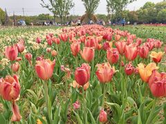 -酸婆娘江湖川菜(紫竹路店)