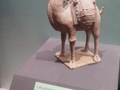 -辽宁省博物馆
