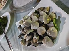 -墨脱石锅椰子鸡•香草鸭•东山羊(大东海店)