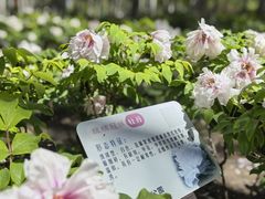 -仁和公园(顺义区)