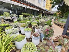 -山菌美食苑(振兴路店)