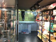 -Goku PET SHOP宠物视觉生活馆(双井店)