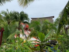 -亚马逊丛林水乐园