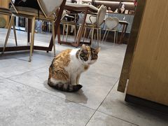 -后海16号·北京私房菜