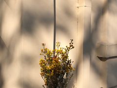 -南通博物苑-崇川人民公园