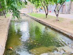 -三里河公园