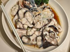 -刘胖子家常菜·蹄花焖藕(兴业店)