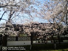 -莫愁湖公园