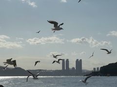 -海云台海滩