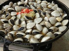 -顺德哥卜卜贝(旗舰店)