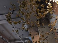 -愉市 Hippy Market(香榭里花园店)