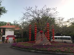 -三亚海棠湾南田温泉神龙谷