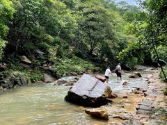 -广州白江湖森林公园