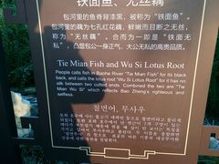 -包公祠