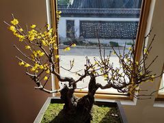 -无锡梅园公园