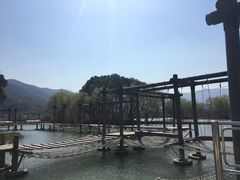 -长兴太湖图影湿地文化园