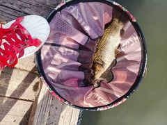 -酷鱼垂钓CLUB(朝阳区博大路店 )