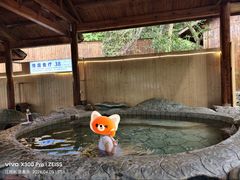 -明月山天沐温泉度假村