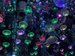 -梵高星空艺术馆(北京旗舰店)
