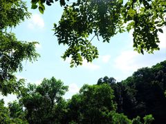 -火炉山森林公园