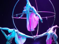 -广州长隆国际大马戏