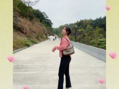 -中山市树木园