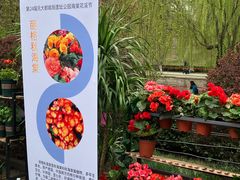 -元大都城垣遗址公园