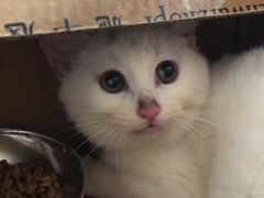 -FAELING PETS美天灵宠物(富力广场店)
