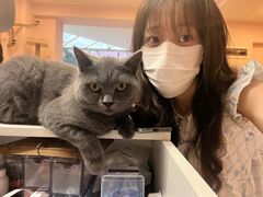 -猫咪派对(江南西店)