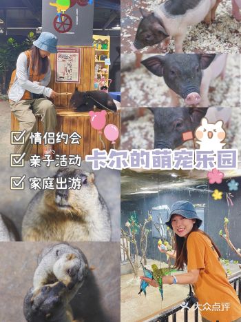 济南约会&遛娃好去处|我竟然撸了一只熊