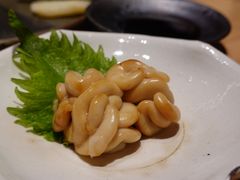 -银座岩