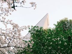 -陆家嘴中心绿地