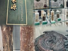 -广东中医药博物馆