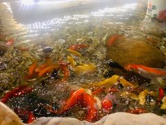 -龙源茶坊(白银路店)