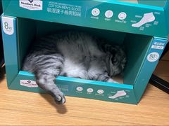-御宝贝24h宠物医院·转诊中心·CT核磁血透中心(厦门总院)