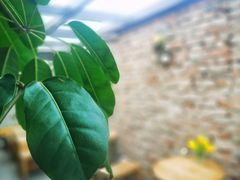 -VOYAGE COFFEE(北锣鼓巷店)