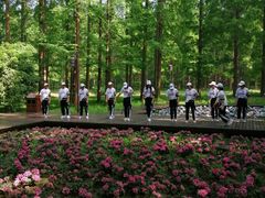 -黄海国家森林公园