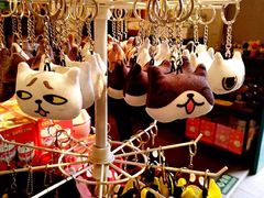 -猫咪博物馆(顶澳仔猫街店)