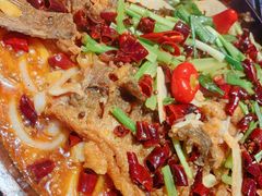 -老板恋上鱼(恒隆广场店)