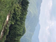 -江南天池