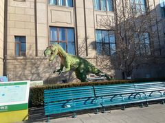 -国家自然博物馆