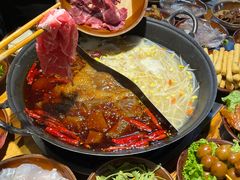 -阳阳老火锅(小南门店)