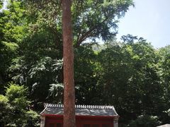 -北京上方山国家森林公园