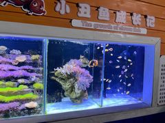 -南昌海洋公园