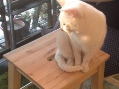 iphone_upload_pic-MIKAKU(万达广场上海宝山店)