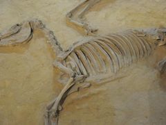 -洛阳周王城天子驾六博物馆