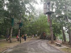 -朝阳公园游乐园